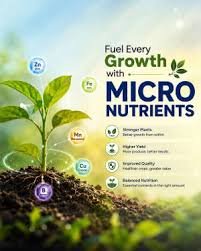 micronutrients for plants