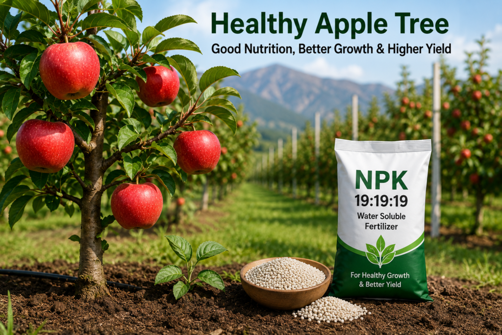 best fertilizers for appletrees